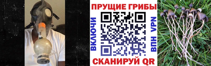 Псилоцибиновые грибы Psilocybine cubensis  hydra рабочий сайт  Фёдоровский 