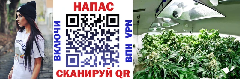 гидра вход  Фёдоровский  Канабис ГИДРОПОН 